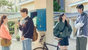 동감 — foto 10