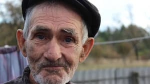 Samosely, i residenti illegali di Chernobyl — foto 1