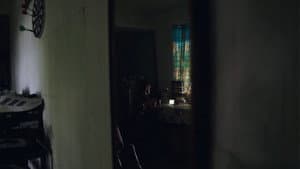 Zenny — foto 4
