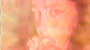 Diamanda Galas: The Litanies of Satan — foto 2