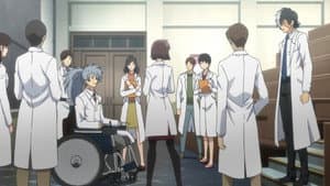 Episodio 9