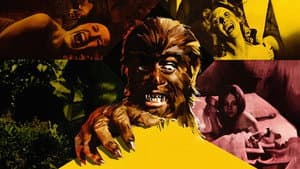 El aullido del diablo — foto 1