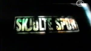Skjulte spor — foto 1