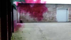 Untitled — foto 1