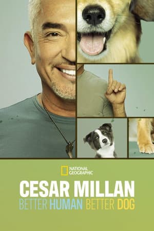 Temporada 3
