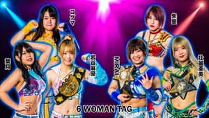 STARDOM in TOKUSHIMA〜すだちくん森のシアター大会 — foto 2