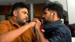 பட்டாம்பூச்சி — foto 3