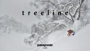 Treeline — foto 1