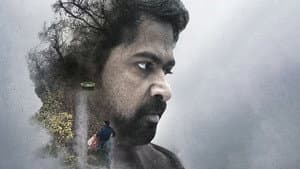 டே நைட் — foto 6