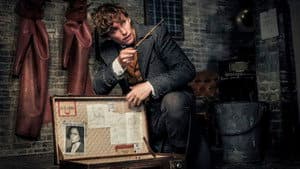 Animales Fantásticos 2: Los Crímenes de Grindelwald — foto 7