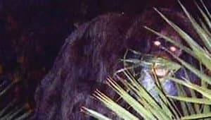 Episodio 9