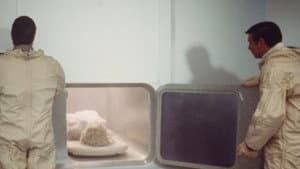 Live Again, Die Again — foto 2