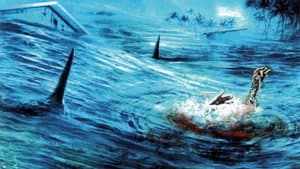 Malibu Shark Attack — foto 3