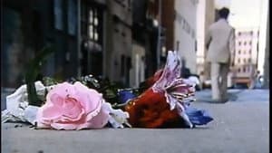 The Man Who Loved Flowers — foto 4