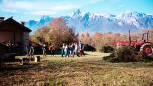 Il compleanno di Enrico — foto 2