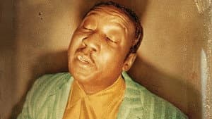Muddy Waters: Can't Be Satisfied — foto 1