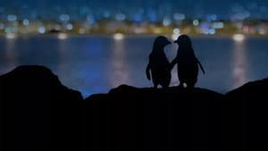 Meet the Penguins — foto 1