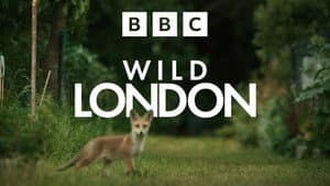 Wild London — foto 1