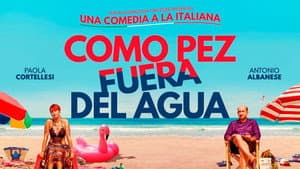 Como pez fuera del agua — foto 1