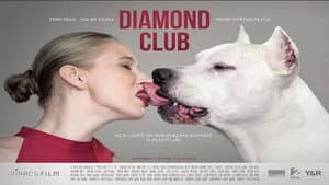 Diamond Club — foto 1