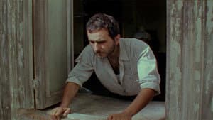 Trilogía Muda — foto 1