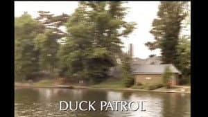 Duck Patrol — foto 1