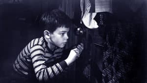 The Window — foto 4