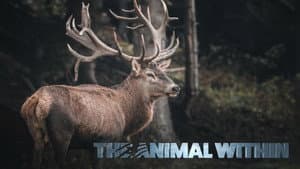 The Animal Within — foto 1