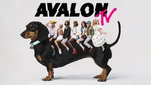 Avalon TV — foto 2