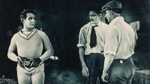 King of the Circus — foto 1