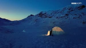 The Last Igloo — foto 5