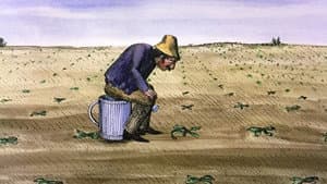 Les escargots — foto 3