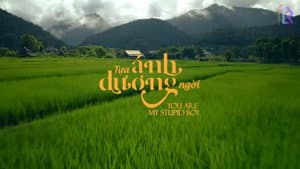 Tựa Ánh Dương Ngời — foto 1
