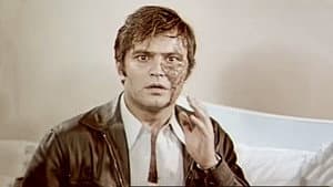 Yuvasız Kuşlar — foto 2