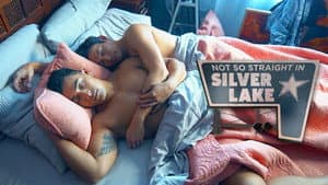 Not So Straight in Silver Lake — foto 1