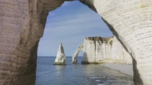 Terre, Les Forces du Vivant — foto 4