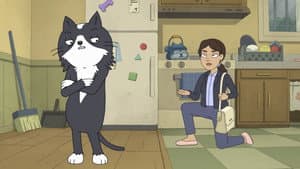 Kevin — foto 3