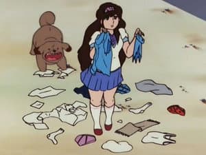 Episodio 5