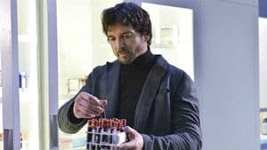 Episodio 11