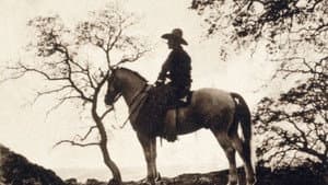 The Trail Rider — foto 1