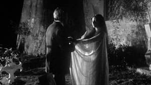 La vendetta di Lady Morgan — foto 10