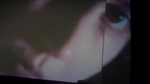 Inventário de Imagens Perdidas — foto 3