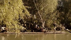 Die Abenteuer des Huck Finn — foto 3