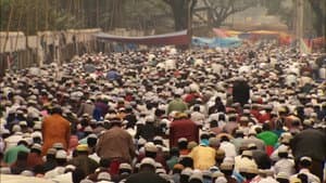 Population Boom — foto 6