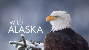 Alaska: Earth's Frozen Kingdom — foto 1