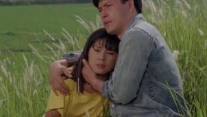바람불면 일어서는 숲 — foto 1