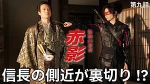Episodio 9