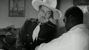 The Bronze Buckaroo — foto 1