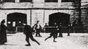 Ślizgawka w Łazienkach — foto 1