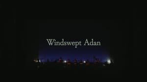 Windswept Adan - Live at Orchard Hall — foto 1